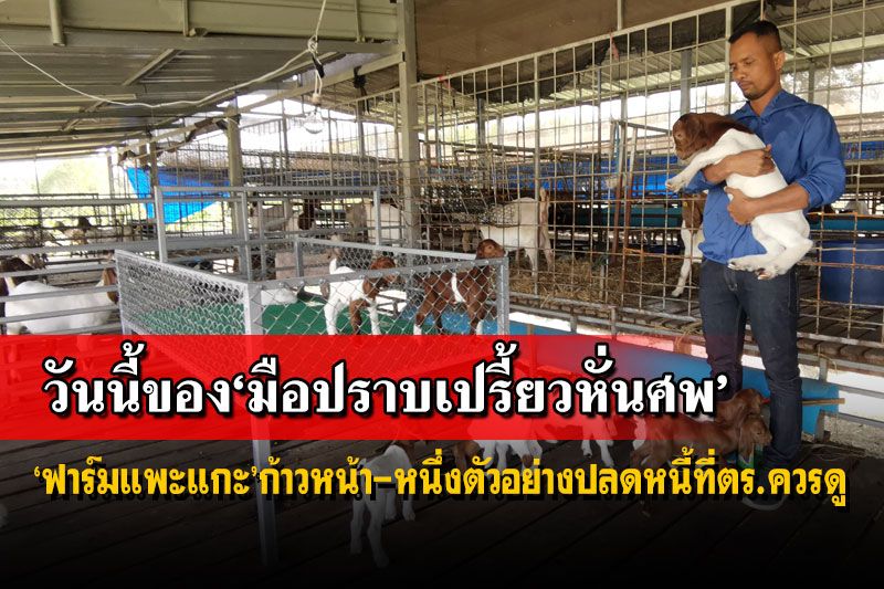 ส่องฟาร์มแพะแกะ‘มือปราบเปรี้ยวหั่นศพ’ อีกหนึ่งตัวอย่างทางปลดหนี้ที่ตำรวจควรดู