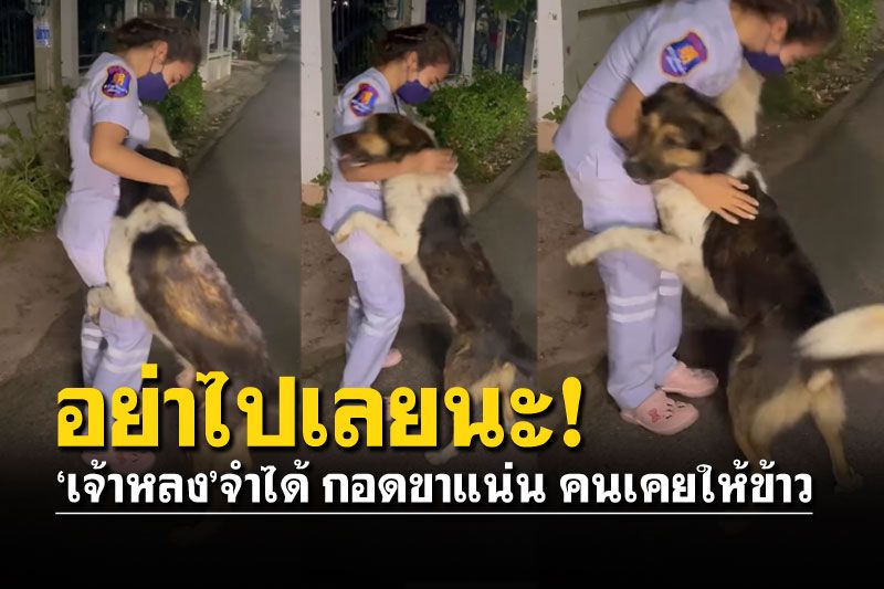 คลิปสุดซึ้ง! เจ้าหลงจำได้คนเคยให้ข้าว ดักหน้ารถกอดขาแน่นไม่ปล่อย