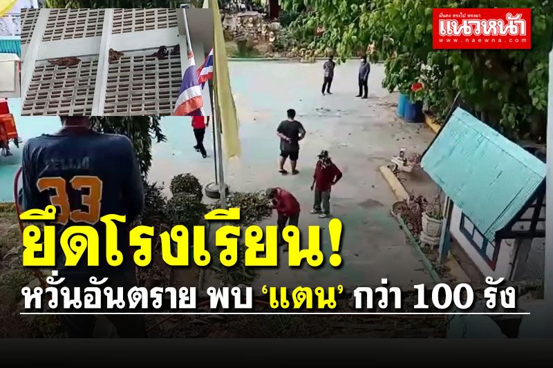 แตกฮือ! แตนกว่า 100 รัง ยึดโรงเรียน หวั่นอันตราย