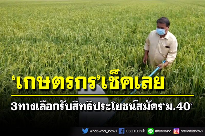 ‘เกษตรกร’เช็คเลย!สมัครประกันสังคม‘ม.40’ รับสิทธิประโยชน์ 3 ทางเลือก