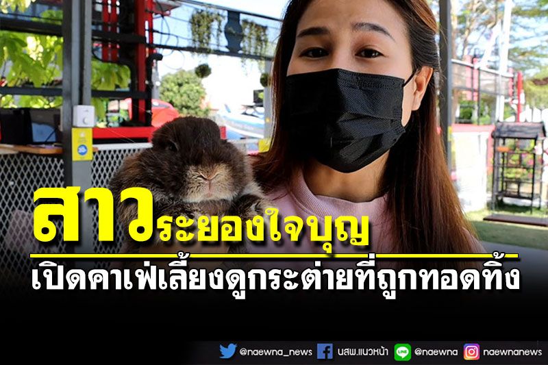 จุดเช็คอินใหม่! ไปดูสาวระยองใจบุญ เปิดคาเฟ่เลี้ยงดูกระต่ายที่ถูกทอดทิ้ง