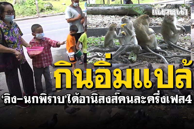 คนละครึ่งเฟส4 'ลิง-นก'ได้อานิสงส์ ชาวบ้านซื้ออาหารให้กินอิ่มแปล้