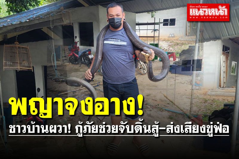 'พญาจงอาง' นอนขดตัวข้างบ้าน กู้ภัยช่วยจับดิ้นสู้-ส่งเสียงขู่ฟ่อ