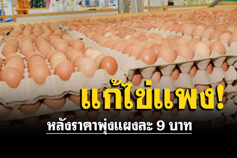 'จุรินทร์' สั่งกรมการค้าภายใน ถกสมาคมผู้เลี้ยงไก่ไข่ แก้ไข่แพง หลังราคาพุ่งแผงละ 9 บาท