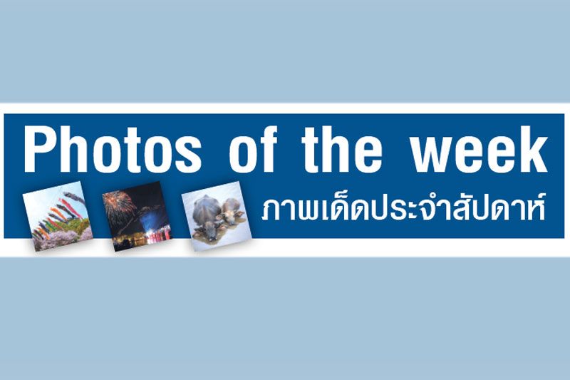 Photo of the week : ภาพเด็ดประจำสัปดาห์