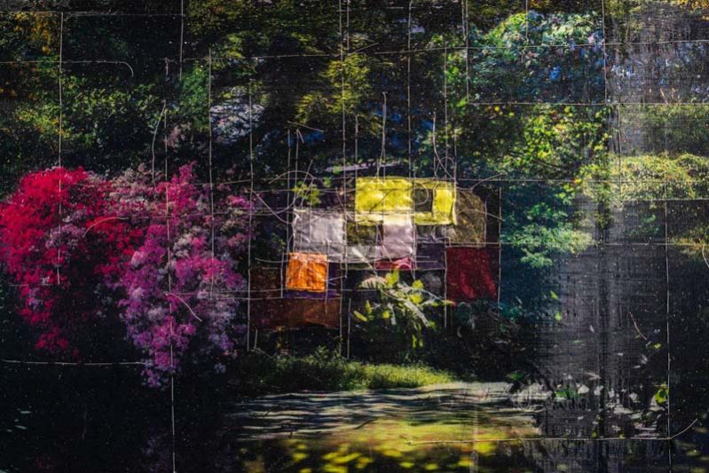 นิทรรศการ No War More Flowers  หากไม่มีสงคราม จะมีดอกไม้มากกว่านี้