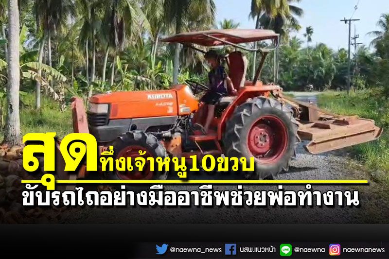 เจ้าหนู 10 ขวบโชว์ทักษะขับรถไถอย่างมืออาชีพ ใช้เวลาว่างช่วยพ่อทำงาน