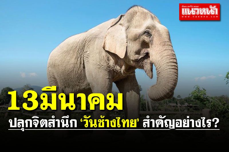 13มีนาคม! ปลุกจิตสำนึก ‘วันช้างไทย’ สำคัญอย่างไร?