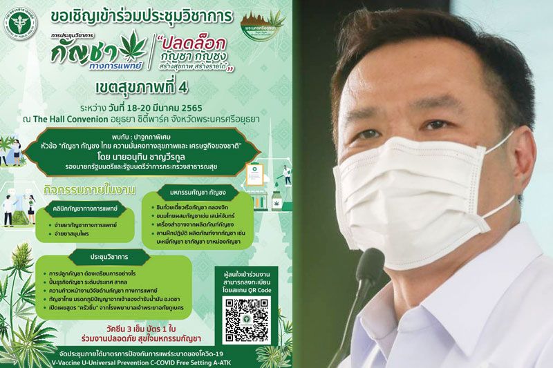 ‘อนุทิน’ลุยเมืองกรุงเก่า!เปิดงานปลดล็อคกัญชา กัญชงสร้างรายได้