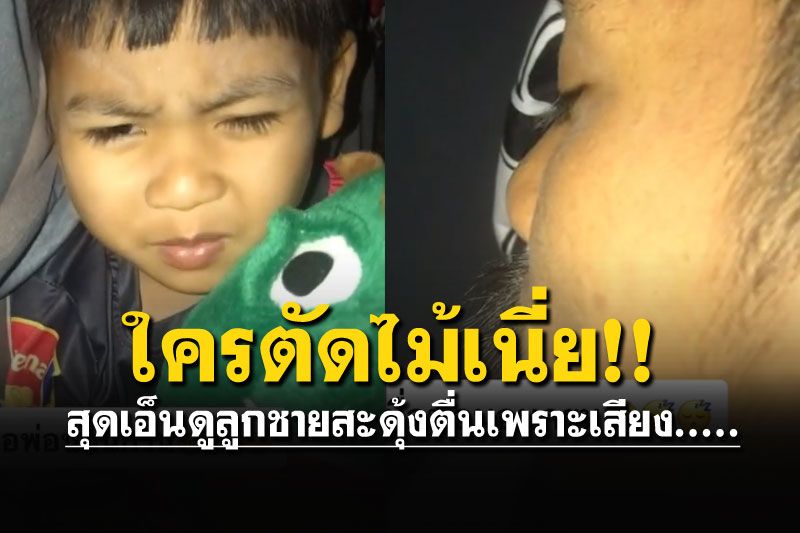 เอ็นดู! ลูกชายสะดุ้งตื่น ถามแม่ใครตัดไม้ ที่ไหนได้ 'พ่อนอนกรน'
