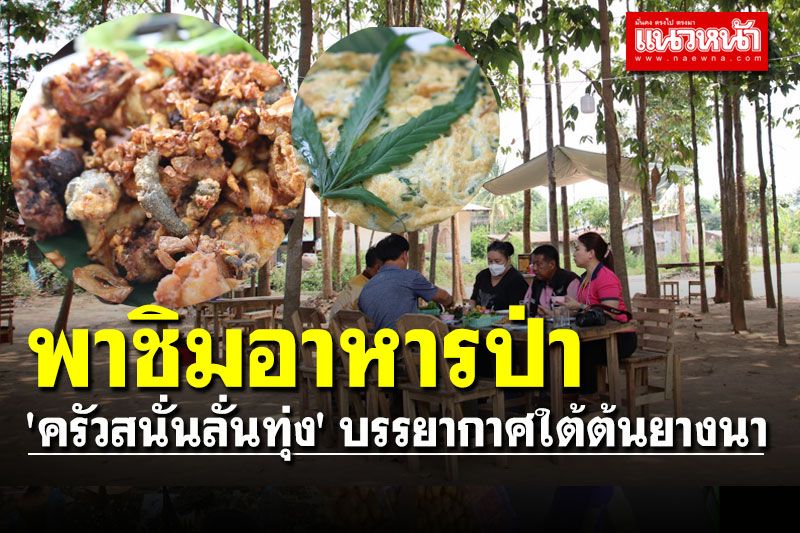 พาชิม... อาหารป่า 'ครัวสนั่นลั่นทุ่ง' บรรยากาศใต้ต้นยางนา