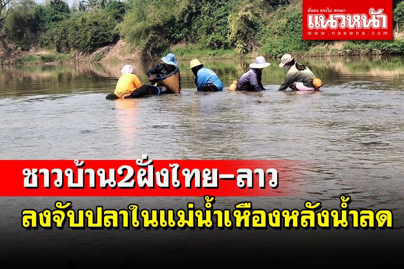 หน้าแล้งน้ำลด! ชาวบ้านริมแม่น้ำเหือง 2 ฝั่งไทย-ลาวพากันลงจับปลาประทังชีวิต