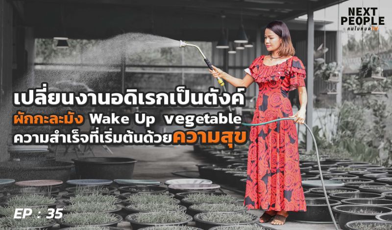 'ออ-อรทัย'เปลี่ยนงานอดิเรกเป็นรายได้ 'ผักกะละมัง'ทุนหลักสิบฟาดกำไรหลักหมื่น