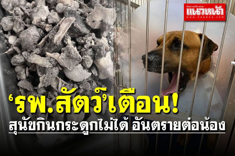 สุนัขกินกระดูกไม่ได้! รพ.สัตว์เตือนอันตรายต่อน้อง