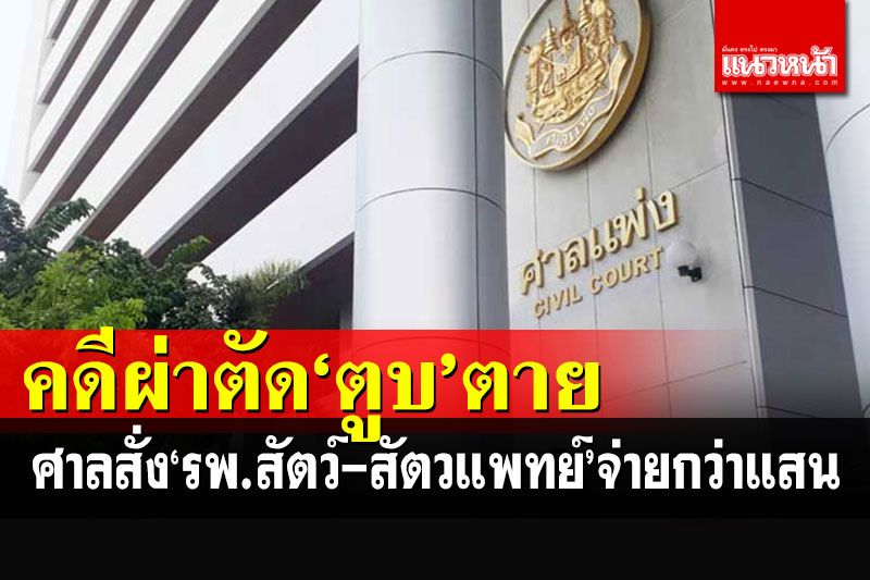 ศาลสั่ง'รพ.สัตว์เอกชน-สัตวแพทย์'จ่ายให้เจ้าของกว่าแสนบาท คดีผ่าตัด'เจ้าตูบ'ตาย