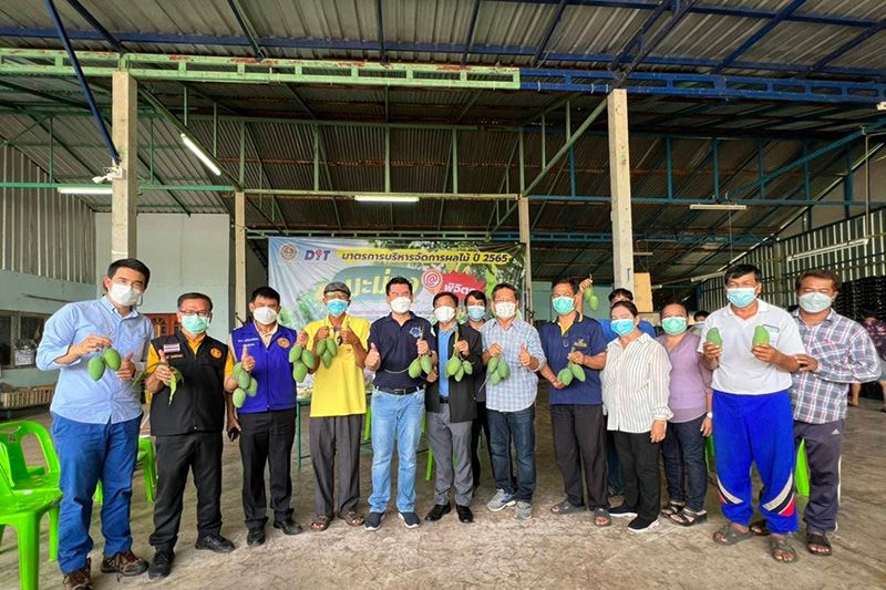 กรมการค้าภายใน รับซื้อมะม่วงฟ้าลั่นตั้งแต่ต้นฤดูการผลิต ช่วยชาวสวน