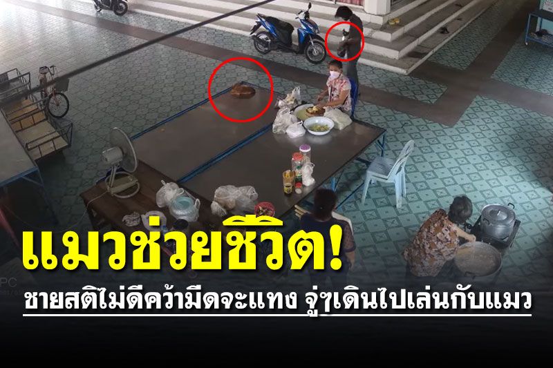 น้องแมวช่วยชีวิต! ชายสติไม่ดีคว้ามีดเข้ามาจะแทง จู่ๆเดินไปเล่นกับแมวเฉย (คลิป)
