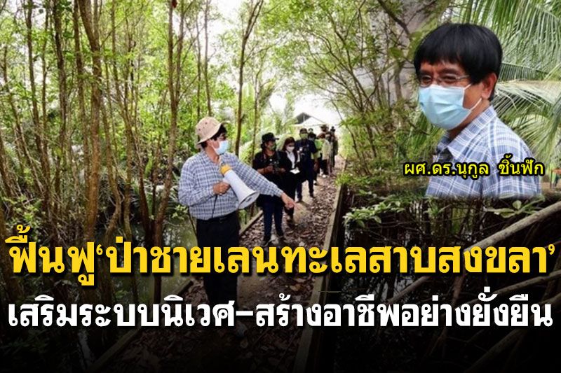 ฟื้นฟู‘ป่าชายเลนทะเลสาบสงขลา’ เสริมระบบนิเวศ-สร้างอาชีพอย่างยั่งยืน