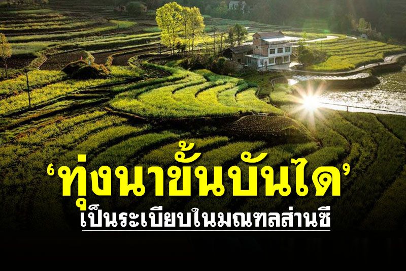 ชมความงาม! 'ทุ่งนาขั้นบันได’ เป็นระเบียบในมณฑลส่านซี (ประมวลภาพ)