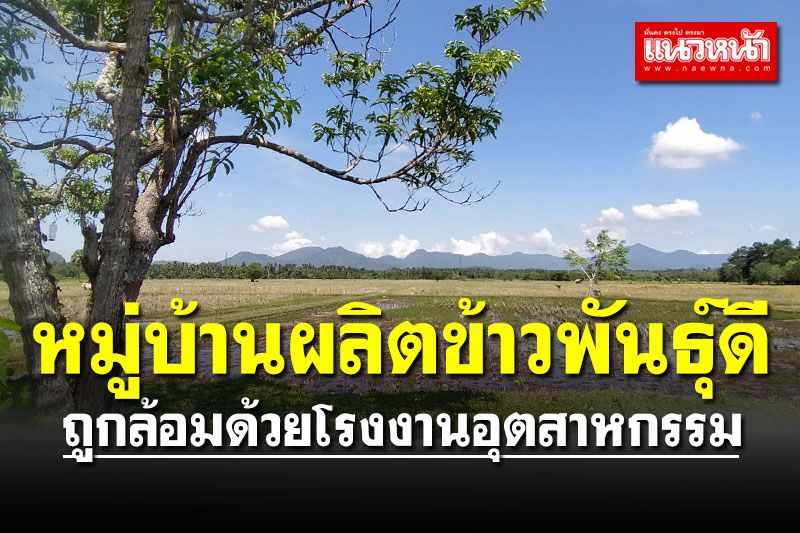 จะเกิดอะไรขึ้น! 'บ้านมาตอรูซอ' หมู่บ้านผลิตข้าวพันธ์ุดี ถูกล้อมด้วยโรงงานอุตสาหกรรม