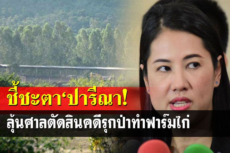 ชี้ชะตา‘ปารีณา’!ลุ้นวันนี้ศาลตัดสินคดีรุกป่าทำฟาร์มไก่