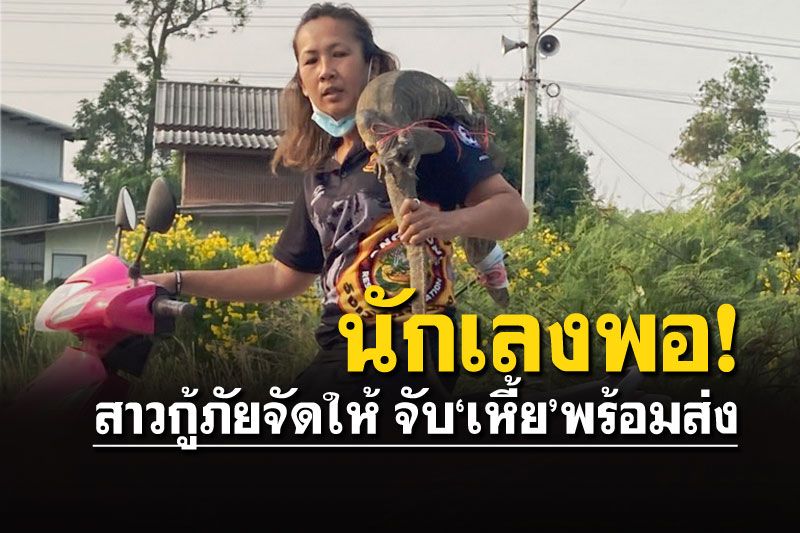สาวกู้ภัยใจเด็ดจับ'เหี้ย'มือเปล่า แถมแบกถึงคอพาไปปล่อยสู่ธรรมชาติ