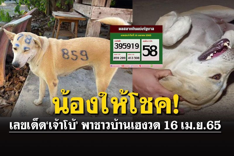 'อาจารย์โบ้มาเอง'ได้เฮงวด16เม.ย.65 สืบจนรู้ที่มา..ใครเป็นคนทำน้อง!