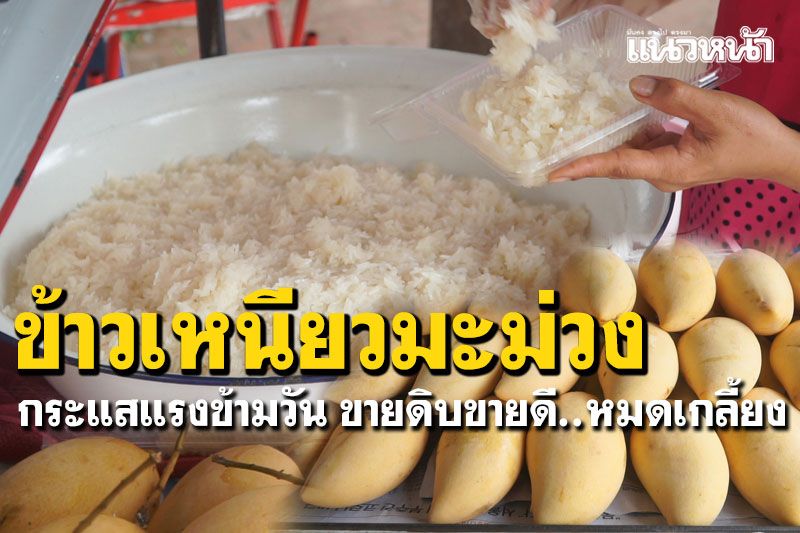 กระแสแรงข้ามวัน! 'ข้าวเหนียวมะม่วง'ขายดิบขายดี 200กก.หมดเกลี้ยงไม่พอขาย