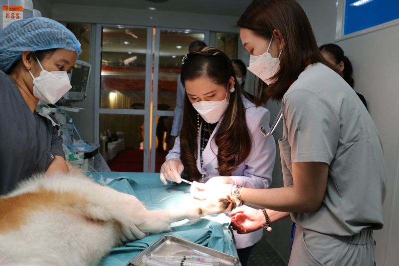 กรมพระศรีสวางควัฒนฯ ทรงมีพระกรุณาธิคุณด้านการแพทย์และสาธารณสุข เพื่อช่วยเหลือปวงประชาและสรรพสัตว์
