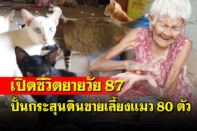 เปิดชีวิตยายวัย 87 ชาวสวรรคโลกปั้นกระสุนดินเหนียวขายหาเงินเลี้ยงแมว 80 ตัว