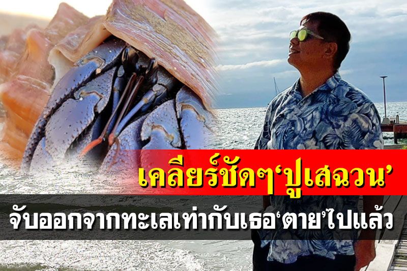 ‘ดร.ธรณ์’ชี้‘ปูเสฉวน’ไม่ใช่ของเล่น อย่าเลี้ยงเพราะแค่น่ารัก