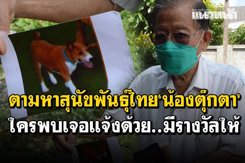 ตายายใจร้อนรน! ตามหาสุนัขพันธุ์ไทย'น้องตุ๊กตา' วอนใครพบเจอแจ้งด้วยมีรางวัลให้
