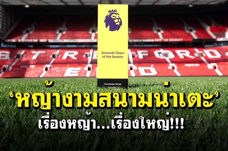 ‘หญ้างามสนามน่าเตะ’  เรื่องหญ้า...เรื่องใหญ่!!!