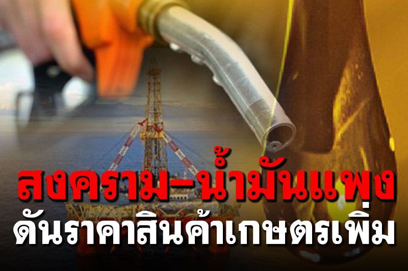 สงคราม-น้ำมันแพง ดันราคาสินค้าเกษตรเพิ่ม