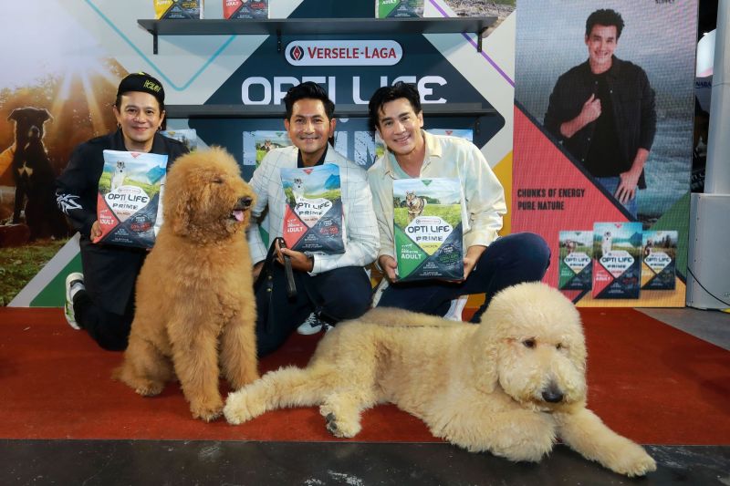 'วิลลี่-หอย'เปิดตัวผลิตภัณฑ์'Optilife Prime' อาหารสุนัขคุณภาพระดับโลก!