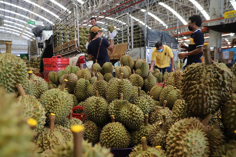 ตลาดไท สานต่อโครงการพาณิชย์ Fruit Festival 2022 ร่วมระบายผลผลิตออกสู่ตลาด