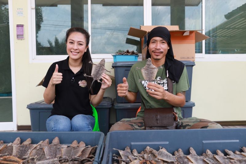 เลี้ยงเป็ดไล่ทุ่งและตุ๊กแกแปรรูป2 อาชีพทำเงิน ในรายการ  'Job บรรเจิด'