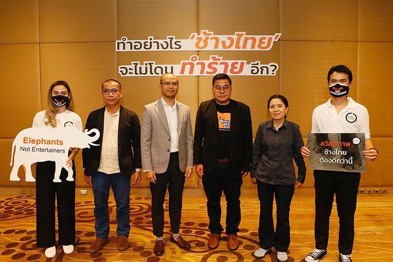 4 แนวร่วม ถกแก้วิกฤตช้างไทยทั้งระบบ เร่งยกสวัสดิภาพช้าง-ท่องเที่ยวแบบไม่ทำร้ายช้าง