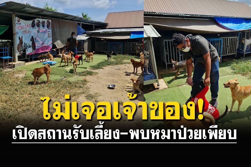 บุกสถานรับเลี้ยงสุนัข เพจดังเปิดรับบริจาคตลอด ชาวเน็ตจับโป๊ะไม่โปร่งใส!?