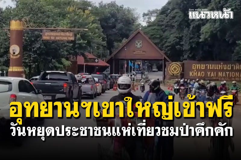 อุทยานฯเขาใหญ่เปิดเที่ยวฟรี! คนแห่เที่ยวชมป่า 'ถนนธนะรัชต์'รถแน่นตลอดเส้นทาง