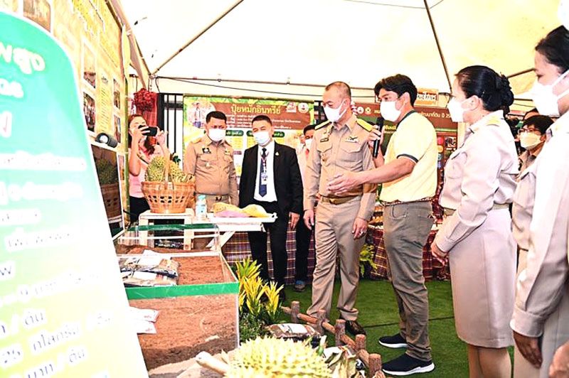 ‘เฉลิมชัย’โชว์ความสำเร็จ  แปลงใหญ่มังคุดลำภีดีเด่นปี2565