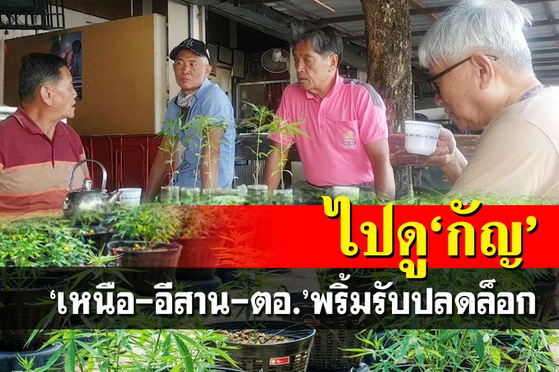 ไปดู‘กัญ’!เหนือ-อีสาน-ตอ.พริ้มรับปลดล็อก ‘ผู้สูงอายุ’เฮ-‘ร้านอาหาร’คึกคัก