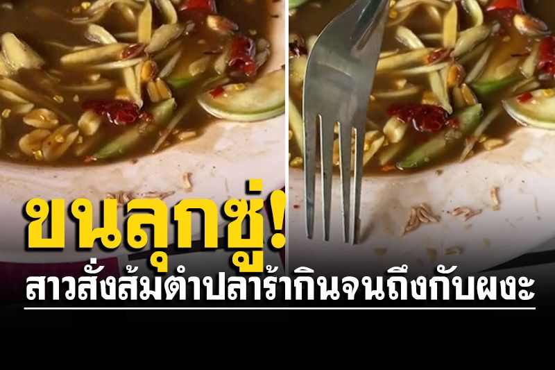 แทบอ้วก! สาวสั่งส้มตำปลาร้ากินจนเกือบเกลี้ยง สุดท้ายเห็นว่าหนอนยั้วเยี้ยในจาน