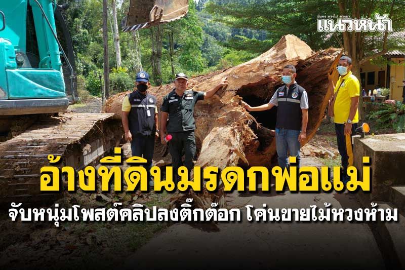 จับหนุ่มโพสต์คลิปลงติ๊กต๊อก โค่นขายไม้หวงห้ามเขตป่าสงวนฯ อ้างที่ดินมรดกพ่อแม่