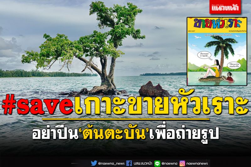 #saveเกาะขายหัวเราะ! วอนนทท.อย่าปีน'ต้นตะบัน'บนเกาะเพื่อถ่ายรูป