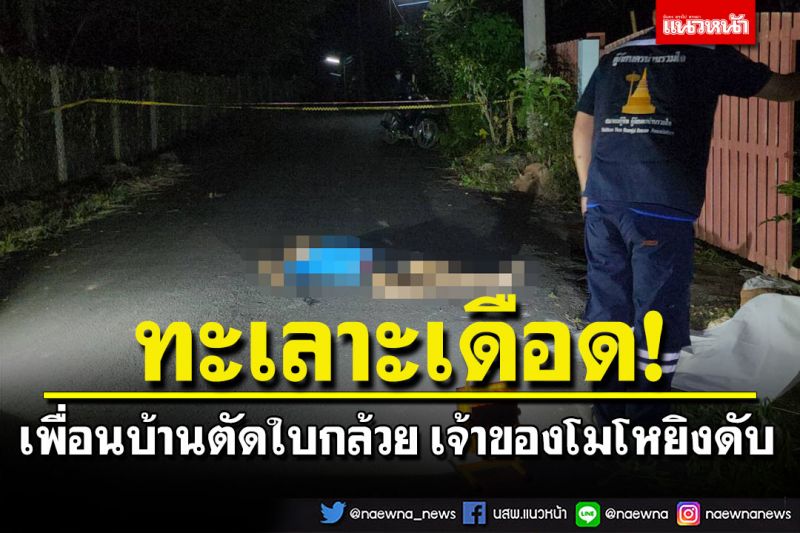 ศึกเพื่อนบ้าน! ชายวัย52ปีตัดใบกล้วยยื่นข้ามเขตรั้ว เจ้าของบ้านโมโหคว้าปืนยิงดับ
