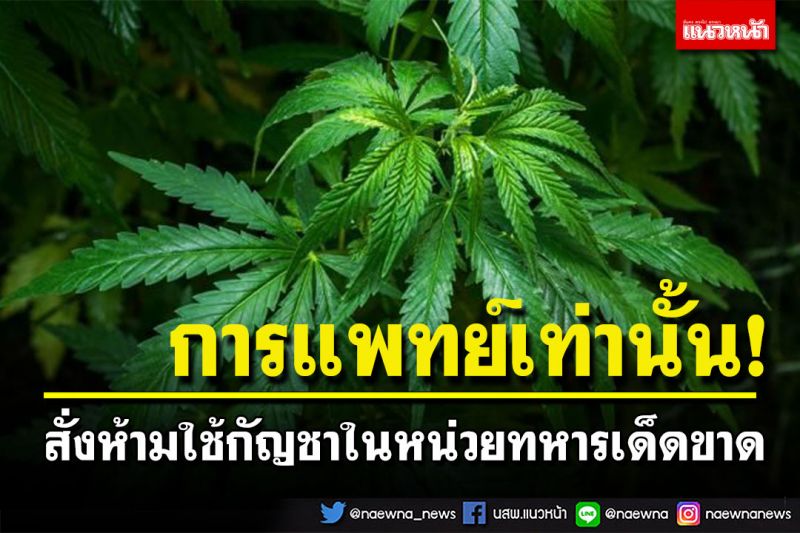 'รมว. กห.'สั่งห้ามใช้กัญชา-กัญชง ในหน่วยทหารเด็ดขาด