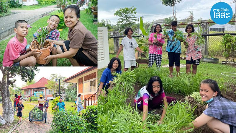 มูลนิธิเด็กโสสะฯ ลงมือแล้ว เพิ่มพื้นที่สีเขียวเพื่อสิ่งแวดล้อมและพึ่งพาตนเองอย่างยั่งยืน