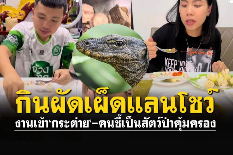 เจอถล่ม! 'กระต่าย-ครูไพบูลย์'กินแลนโชว์ ชี้เป็นสัตว์ป่าคุ้มครอง