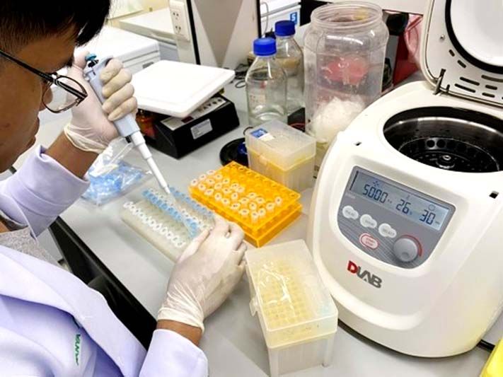 นักวิจัย ม.กาฬสินธุ์ ใช้ ‘ดีเอ็นเอบาร์โค้ด’ แยกชนิดปลาที่ทำปลาร้าเขื่อนลำปาว